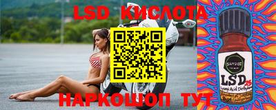 индика Гай