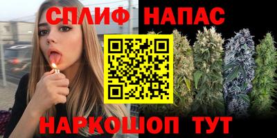 индика Гай