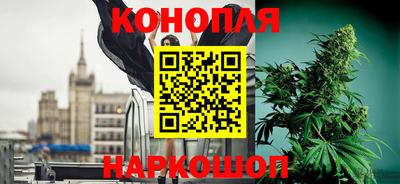 индика Гай