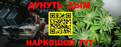 трава Гатчина