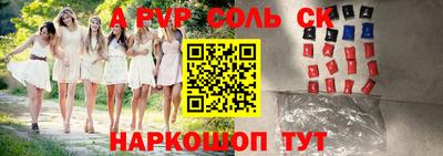 индика Гай