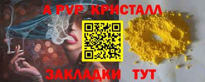индика Гай