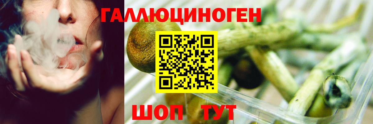 Псилоцибиновые грибы мухоморы  Вход с VPN  Валуйки 